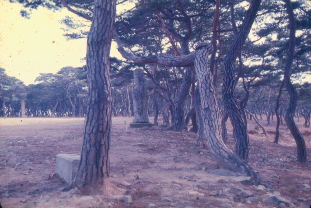 김차섭 한국 사진(유관순 벽화, 효당, 경주 등) 슬라이드 필름