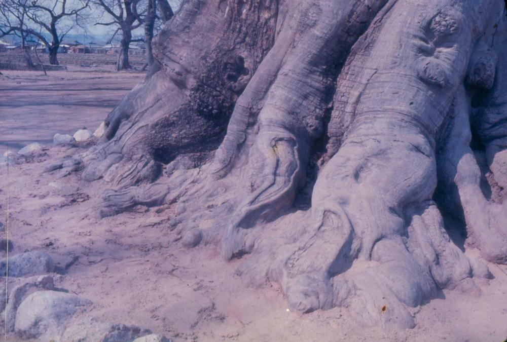 김차섭 한국 사진(유관순 벽화, 효당, 경주 등) 슬라이드 필름