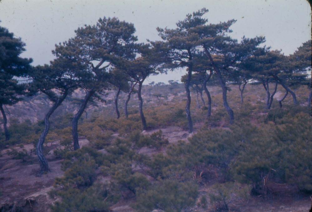 김차섭 한국 사진(유관순 벽화, 효당, 경주 등) 슬라이드 필름