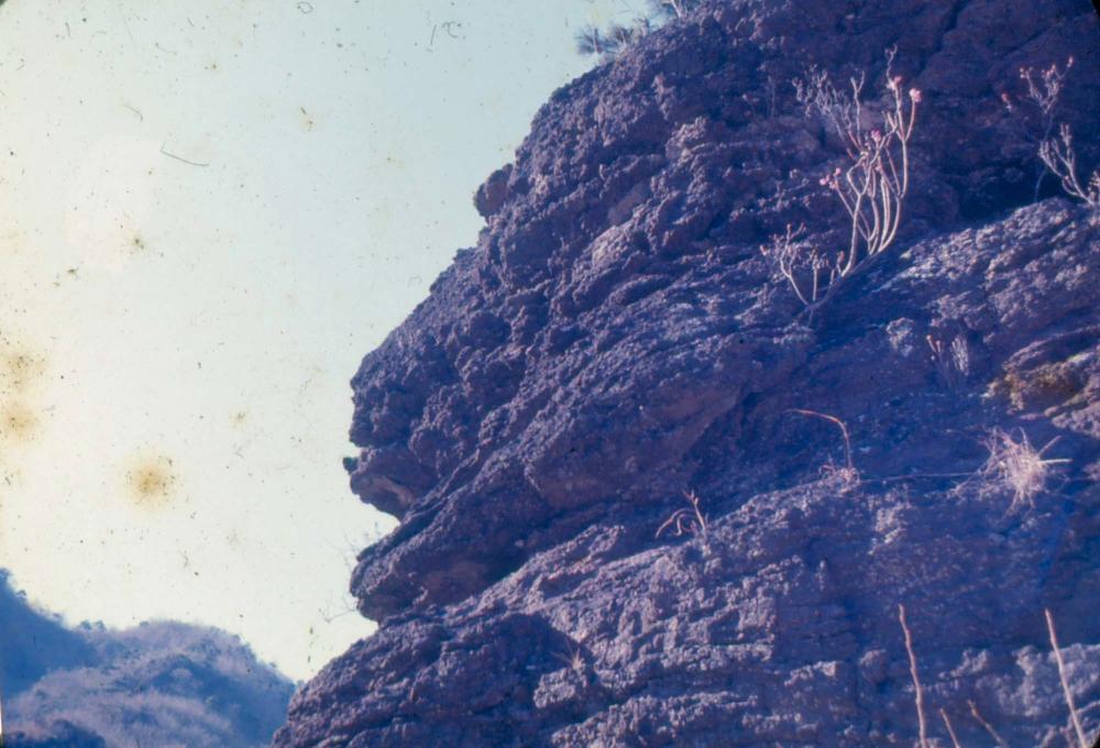 김차섭 한국 사진(유관순 벽화, 효당, 경주 등) 슬라이드 필름