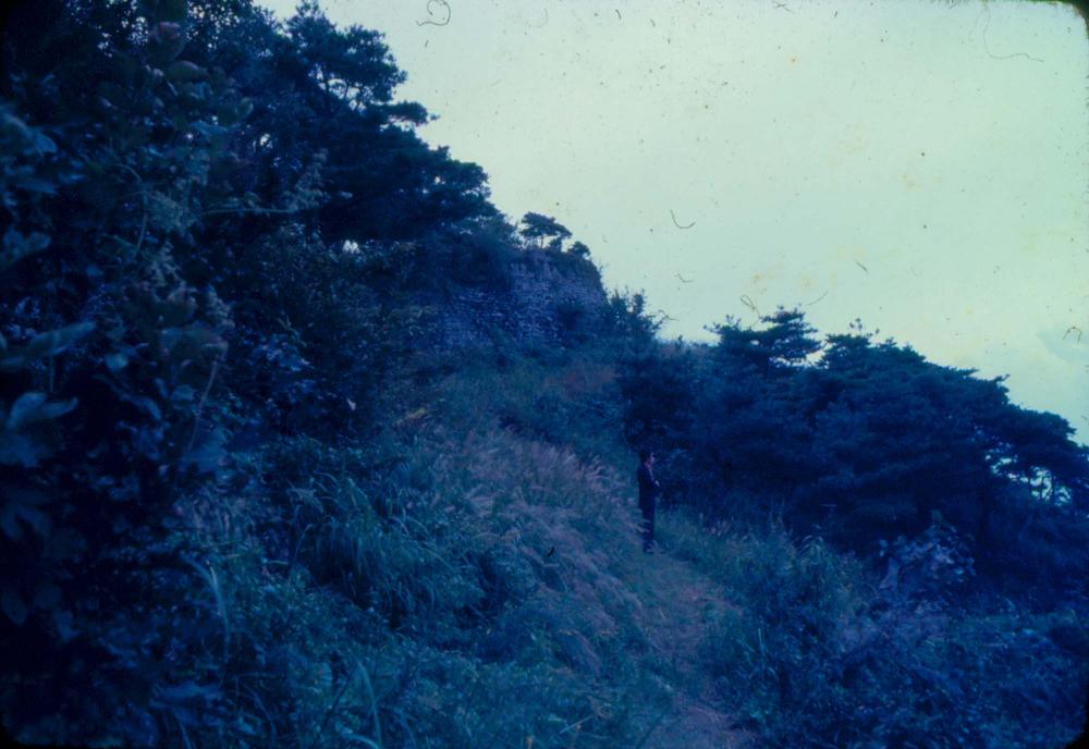 김차섭 한국 사진(유관순 벽화, 효당, 경주 등) 슬라이드 필름