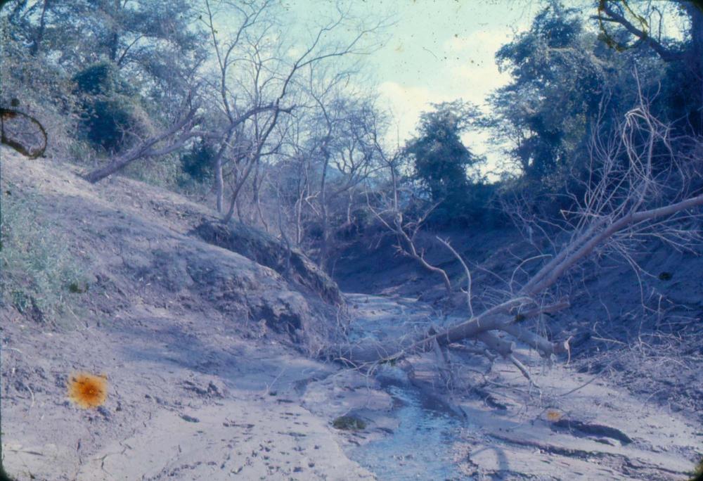 김차섭 한국 사진(유관순 벽화, 효당, 경주 등) 슬라이드 필름