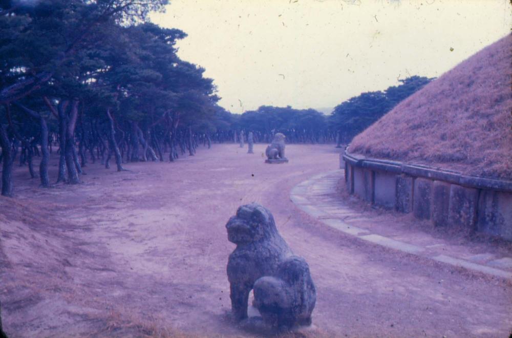 김차섭 한국 사진(유관순 벽화, 효당, 경주 등) 슬라이드 필름