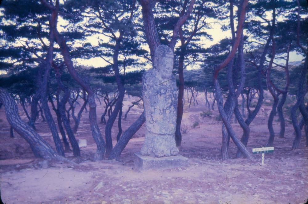 김차섭 한국 사진(유관순 벽화, 효당, 경주 등) 슬라이드 필름