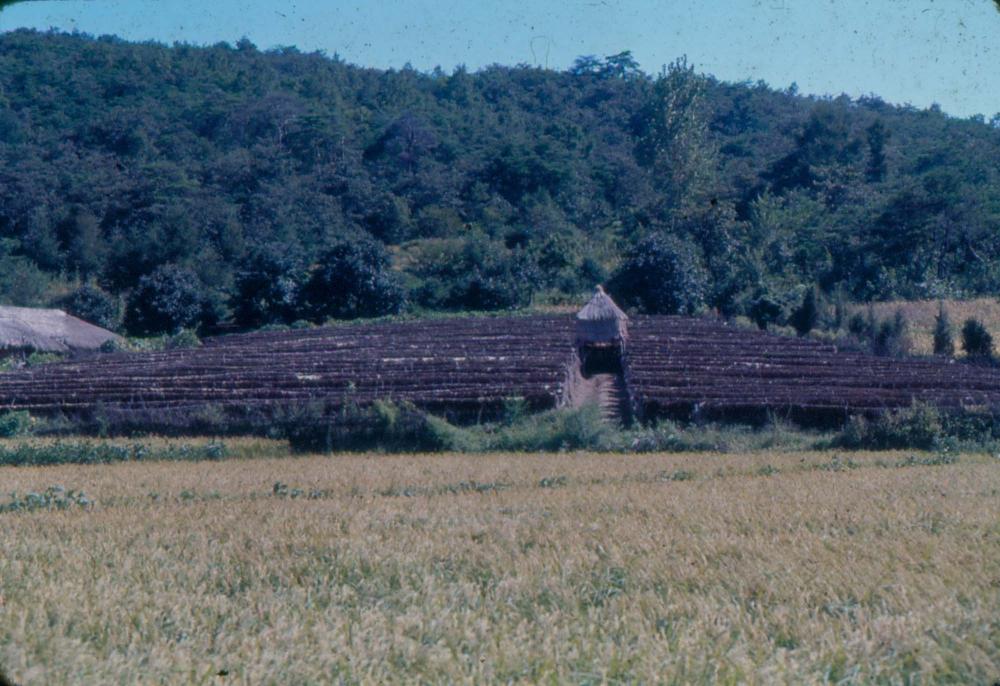 김차섭 한국 사진(유관순 벽화, 효당, 경주 등) 슬라이드 필름