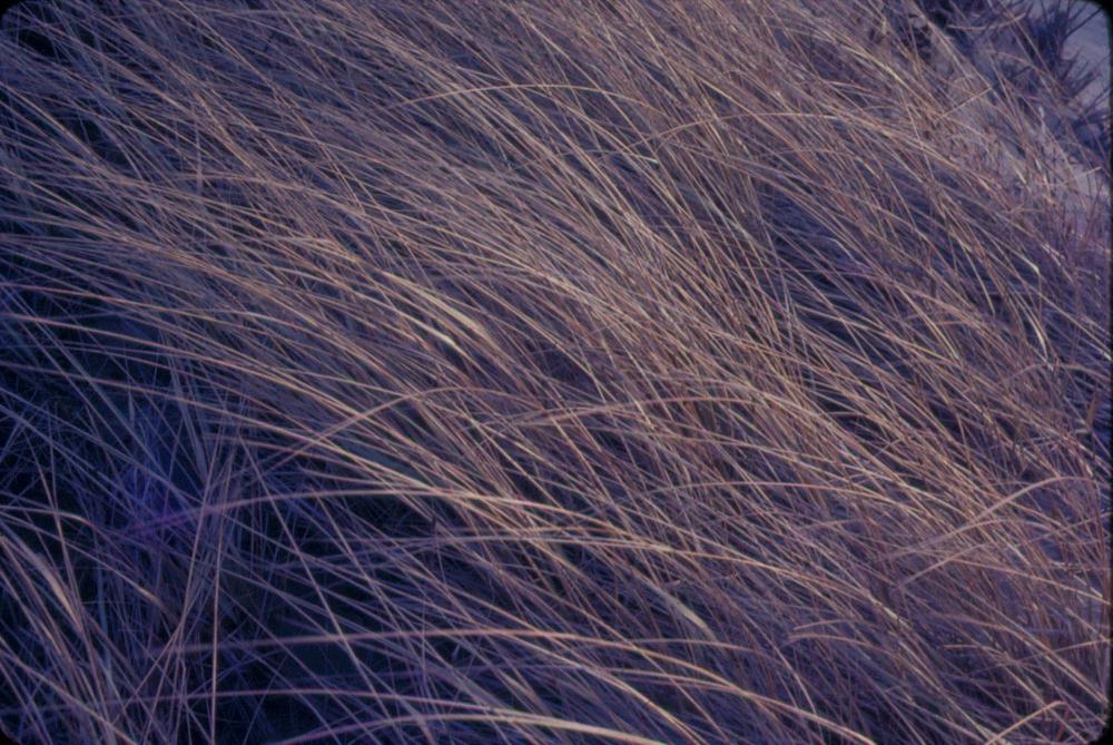 김차섭 한국 사진(유관순 벽화, 효당, 경주 등) 슬라이드 필름