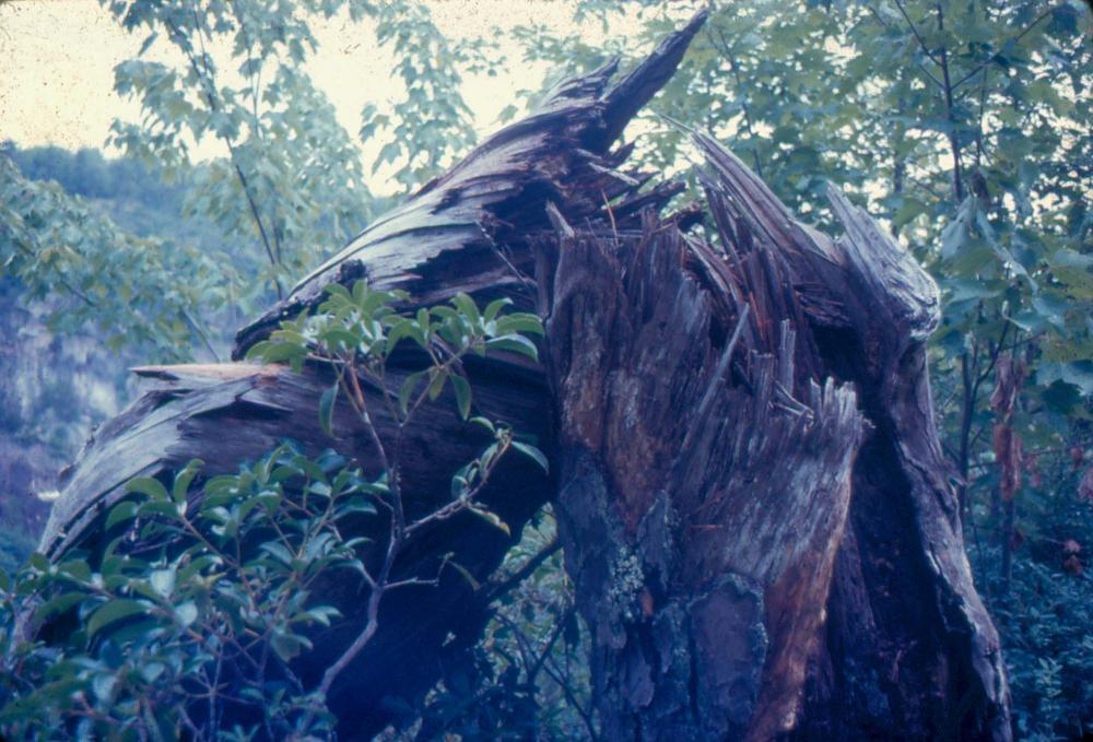 김차섭 한국 사진(유관순 벽화, 효당, 경주 등) 슬라이드 필름