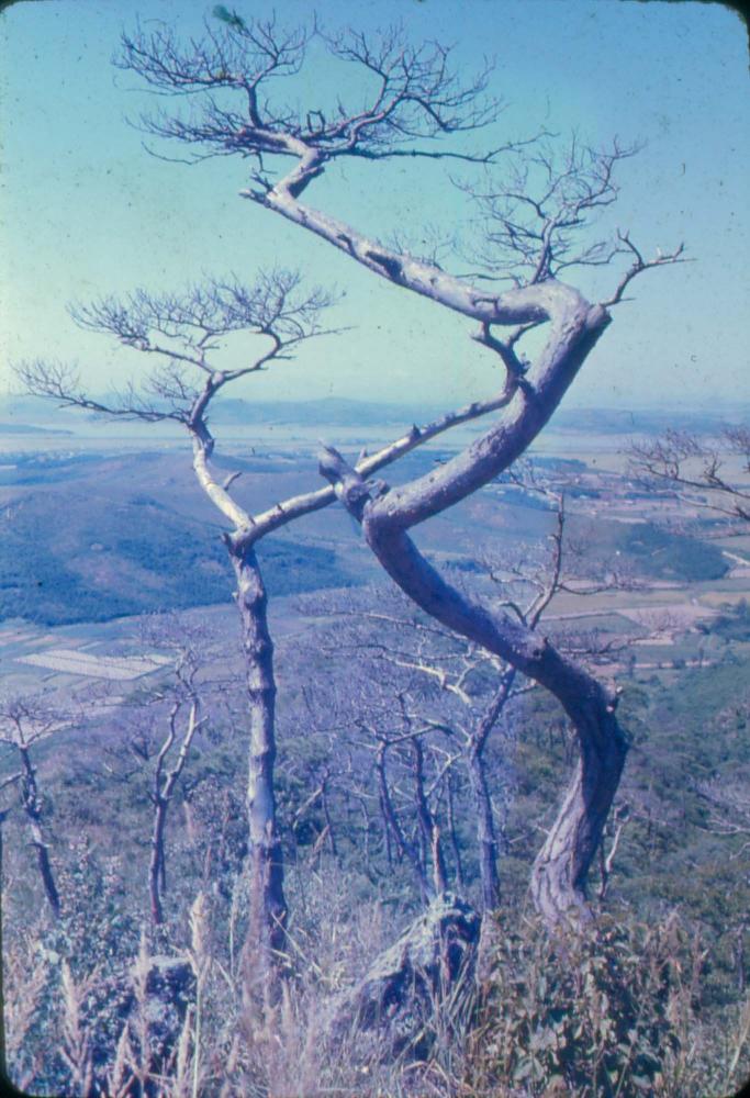 김차섭 한국 사진(유관순 벽화, 효당, 경주 등) 슬라이드 필름
