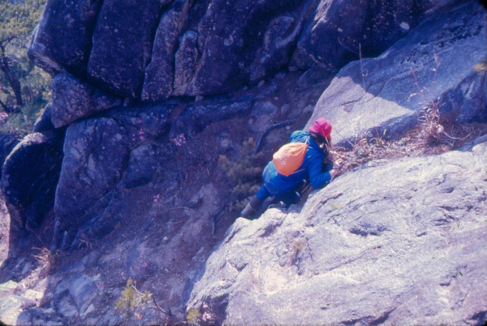 김차섭 한국 사진(유관순 벽화, 효당, 경주 등) 슬라이드 필름