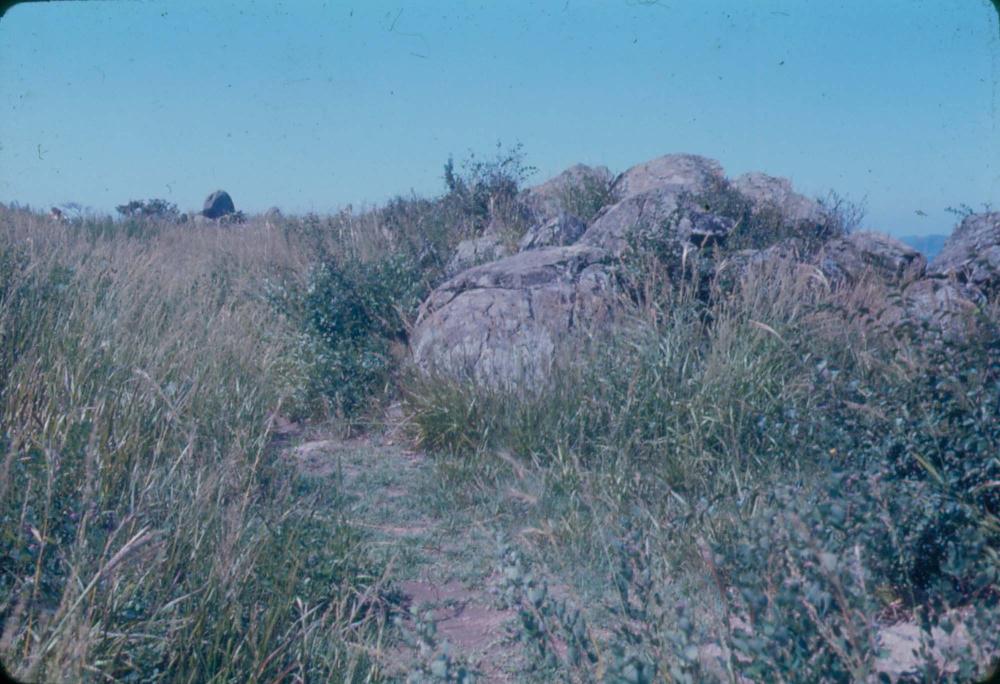 김차섭 한국 사진(유관순 벽화, 효당, 경주 등) 슬라이드 필름