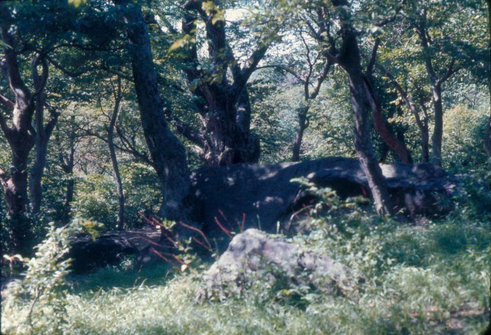 김차섭 한국 사진(유관순 벽화, 효당, 경주 등) 슬라이드 필름