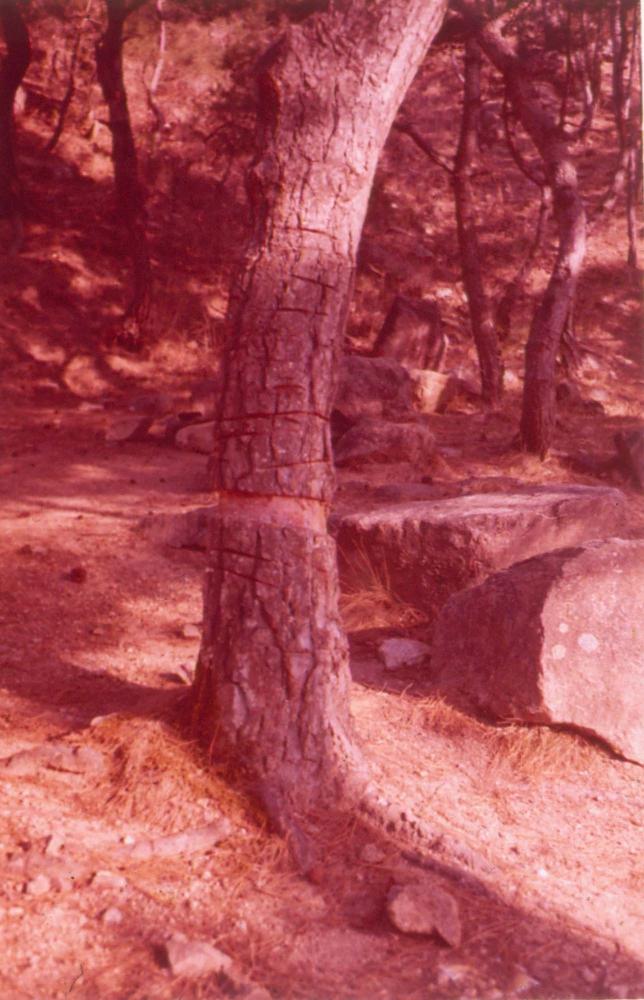 김차섭 한국 사진(유관순 벽화, 효당, 경주 등) 슬라이드 필름