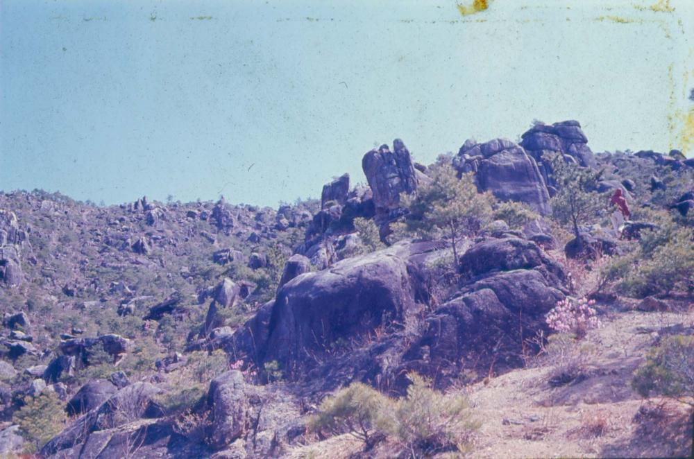 김차섭 한국 사진(유관순 벽화, 효당, 경주 등) 슬라이드 필름