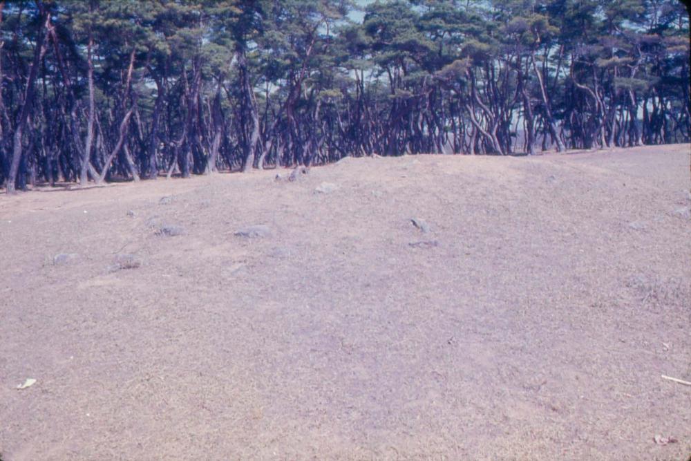 김차섭 한국 사진(유관순 벽화, 효당, 경주 등) 슬라이드 필름