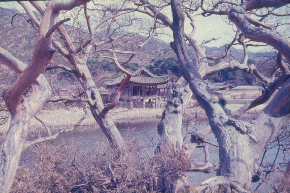 김차섭 한국 사진(유관순 벽화, 효당, 경주 등) 슬라이드 필름