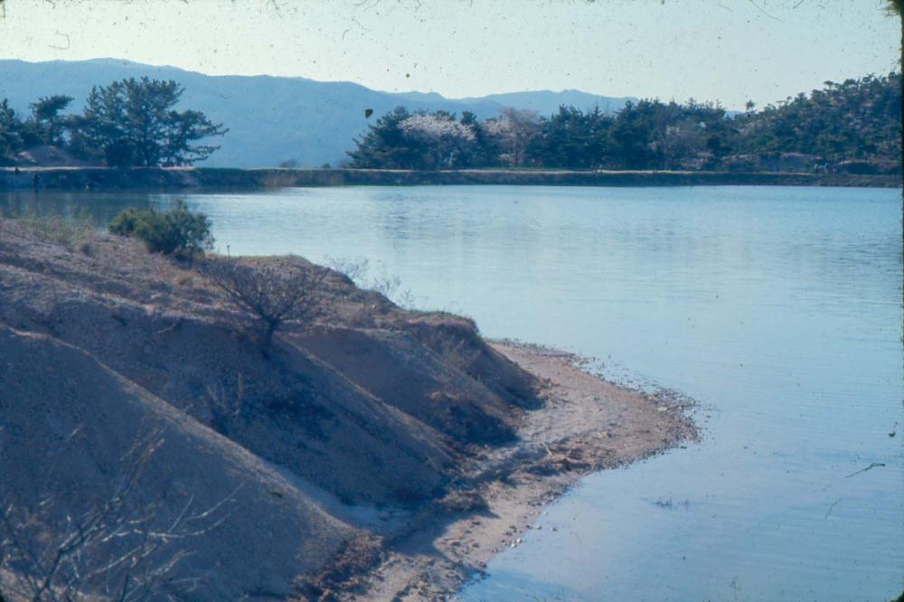 김차섭 한국 사진(유관순 벽화, 효당, 경주 등) 슬라이드 필름