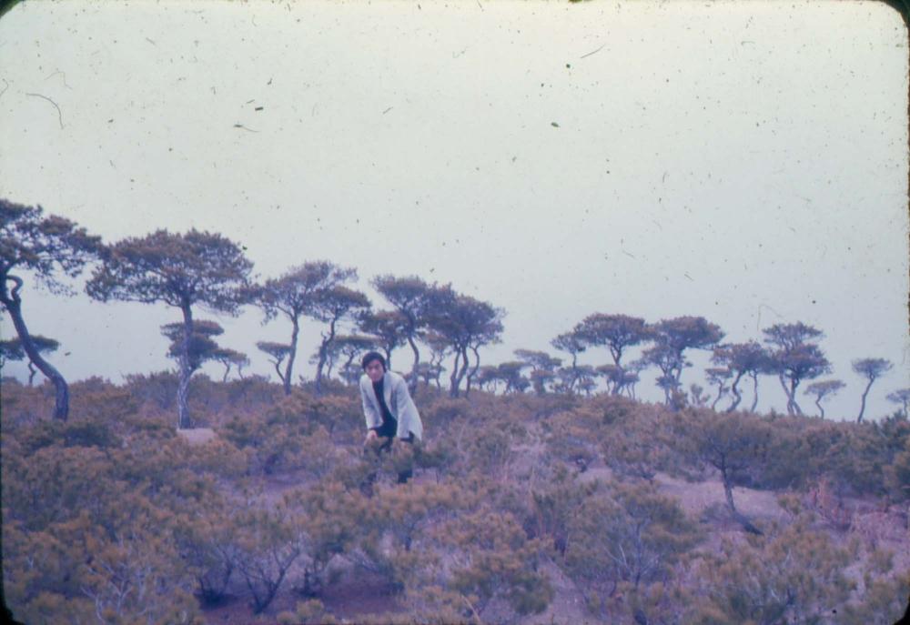 김차섭 한국 사진(유관순 벽화, 효당, 경주 등) 슬라이드 필름