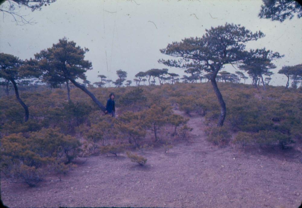 김차섭 한국 사진(유관순 벽화, 효당, 경주 등) 슬라이드 필름