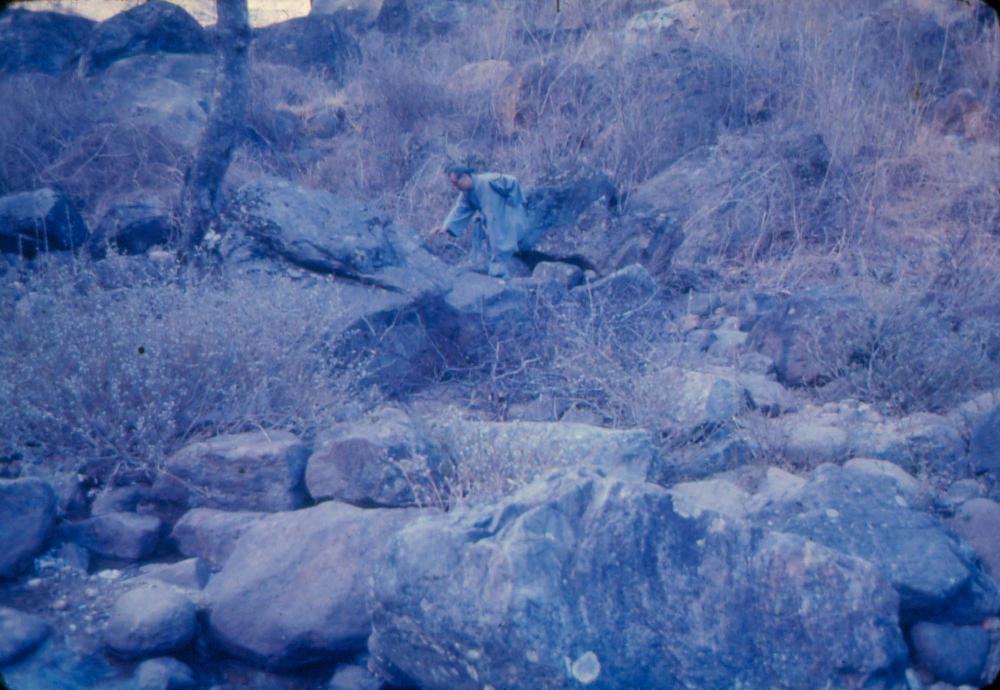 김차섭 한국 사진(유관순 벽화, 효당, 경주 등) 슬라이드 필름