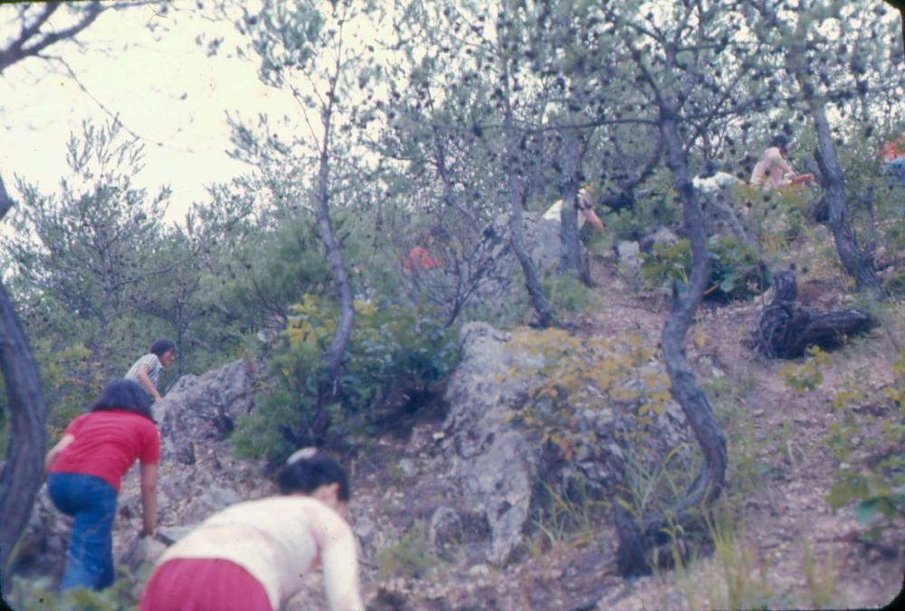김차섭 한국 사진(유관순 벽화, 효당, 경주 등) 슬라이드 필름