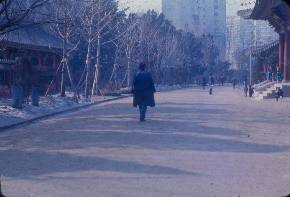 김차섭 한국 사진(유관순 벽화, 효당, 경주 등) 슬라이드 필름