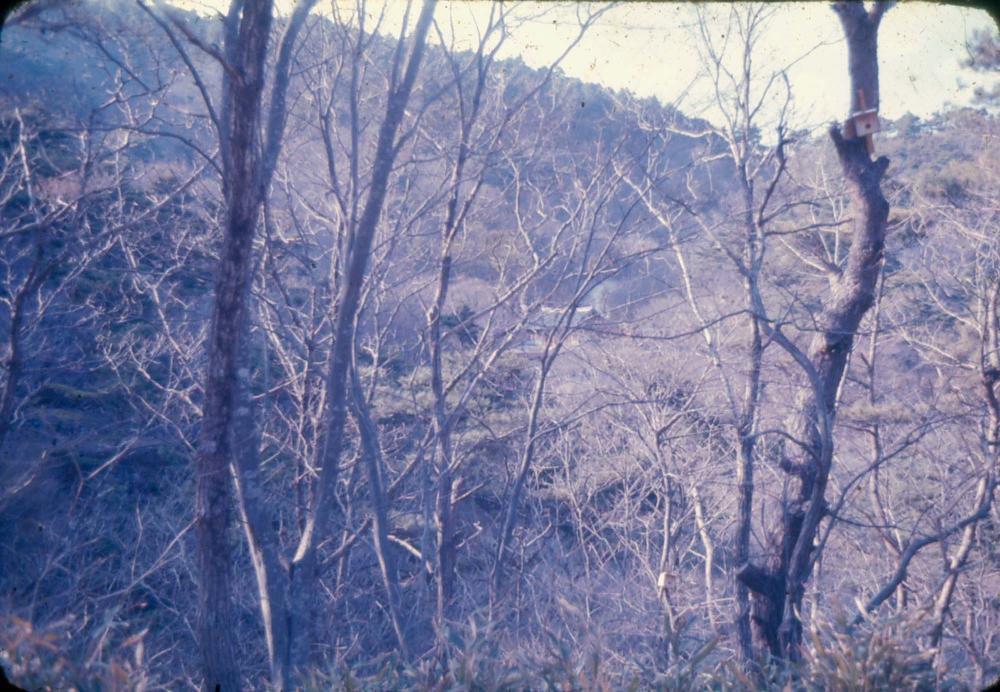 김차섭 한국 사진(유관순 벽화, 효당, 경주 등) 슬라이드 필름