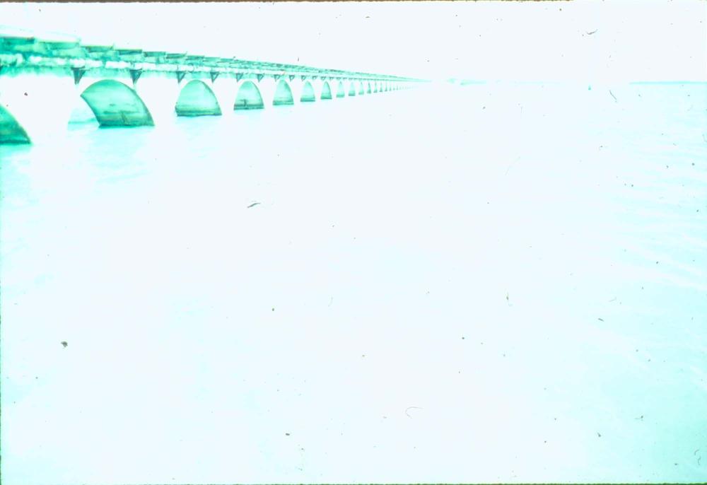 김명희가 촬영한 미국 여행 슬라이드 필름 1