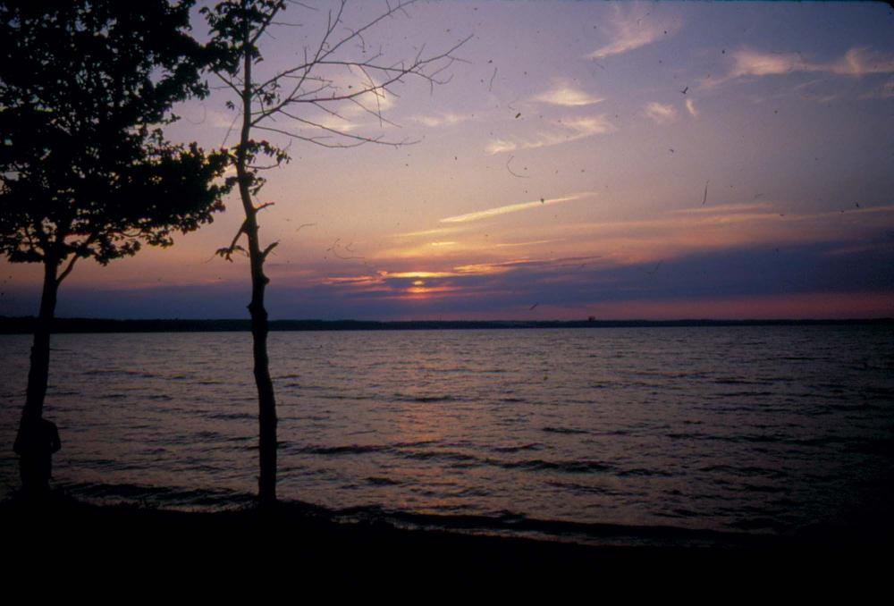 김명희가 촬영한 미국 여행 슬라이드 필름