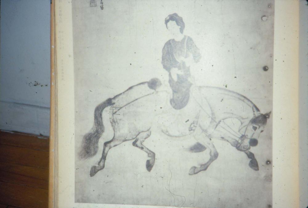 김명희가 촬영한 동물원, 돈황벽화 등 중국 여행 슬라이드 필름