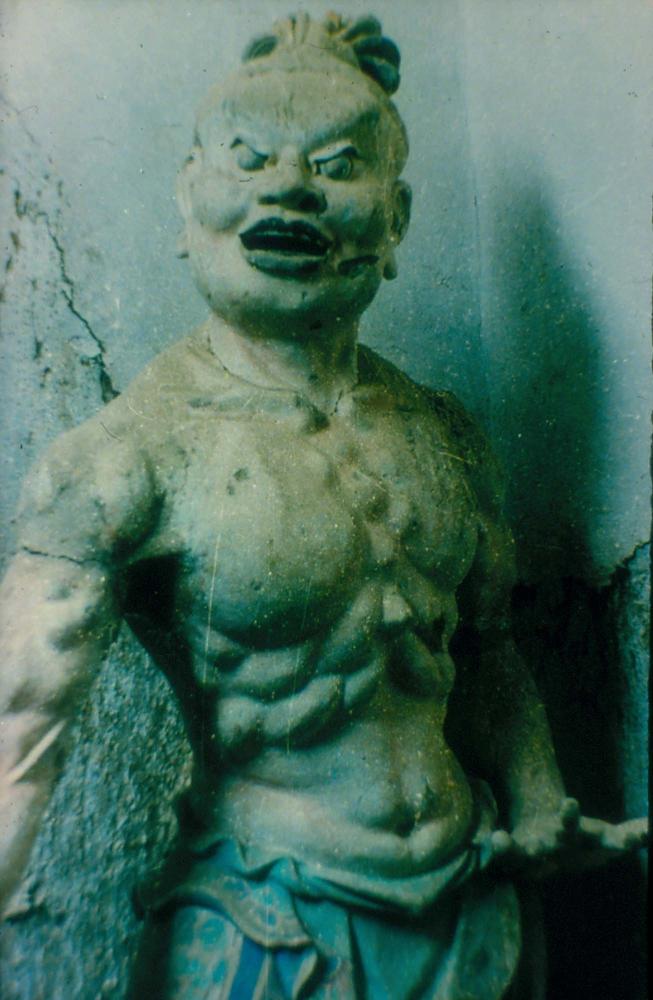 김명희가 촬영한 동물원, 돈황벽화 등 중국 여행 슬라이드 필름