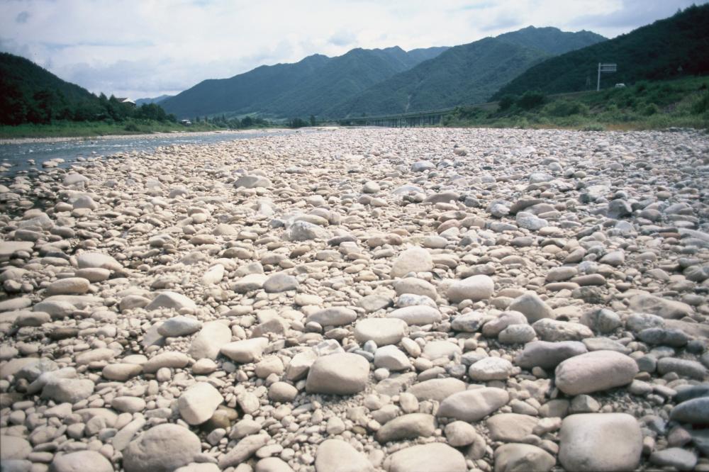 강원도 인제와 미국 메인 주에서 김명희가 촬영한 돌 슬라이드 필름 1