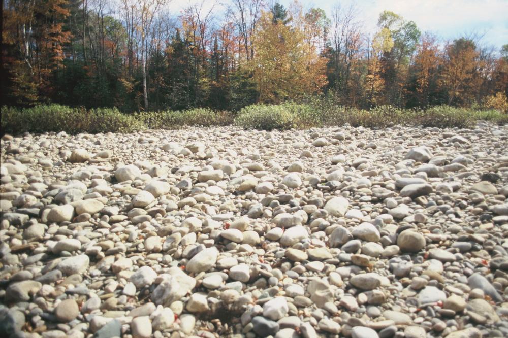 강원도 인제와 미국 메인 주에서 김명희가 촬영한 돌 슬라이드 필름 2