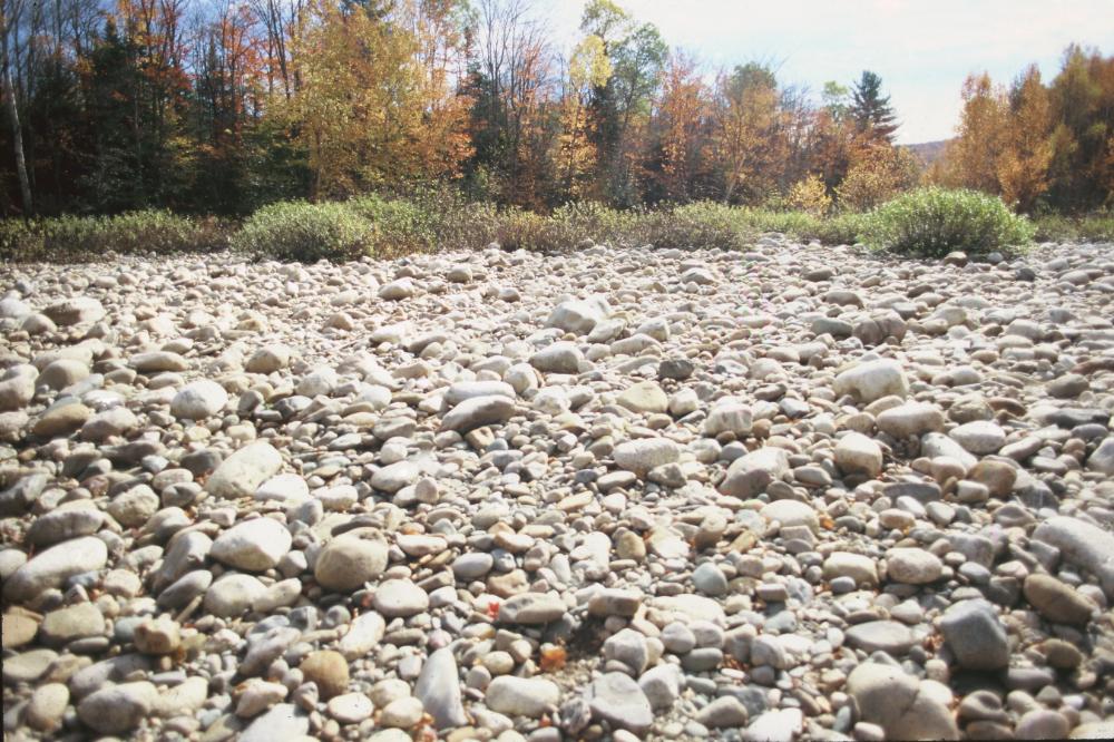 강원도 인제와 미국 메인 주에서 김명희가 촬영한 돌 슬라이드 필름 3
