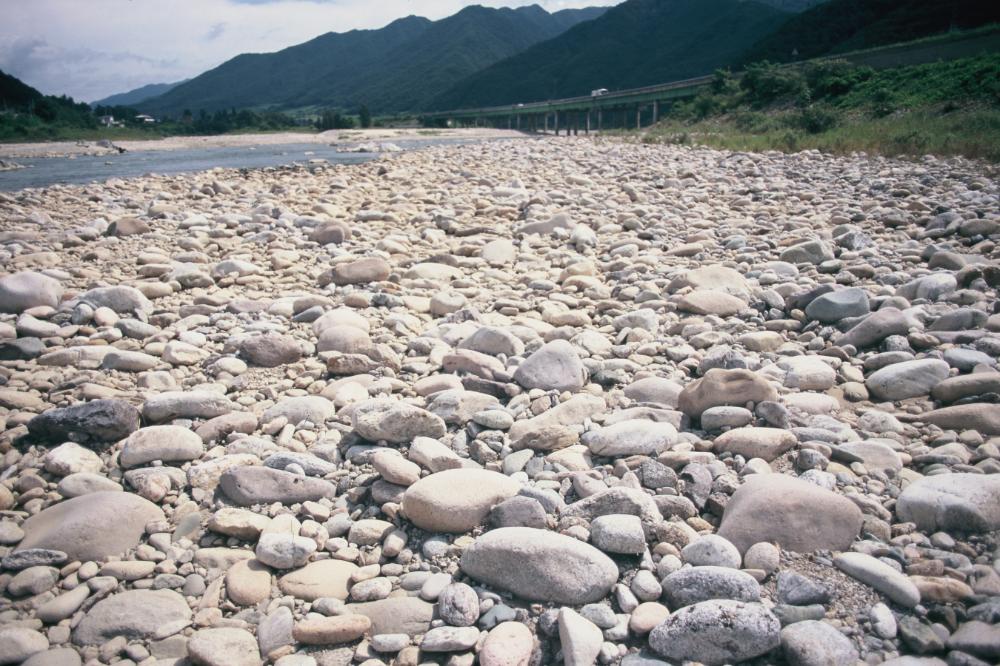 강원도 인제와 미국 메인 주에서 김명희가 촬영한 돌 슬라이드 필름 4