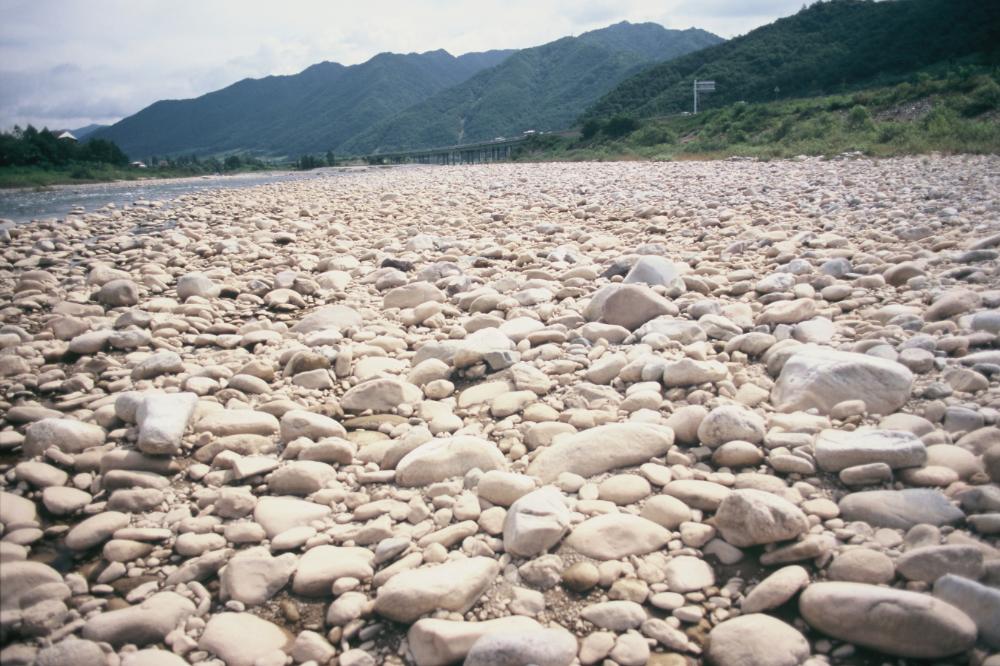 강원도 인제와 미국 메인 주에서 김명희가 촬영한 돌 슬라이드 필름 5