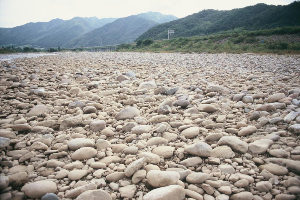강원도 인제와 미국 메인 주에서 김명희가 촬영한 돌 슬라이드 필름 7