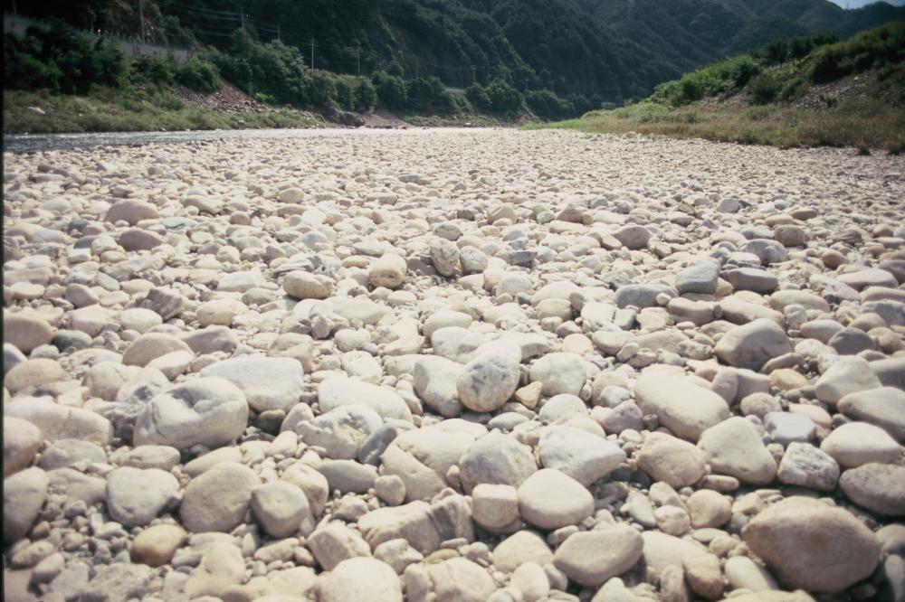 강원도 인제와 미국 메인 주에서 김명희가 촬영한 돌 슬라이드 필름 8
