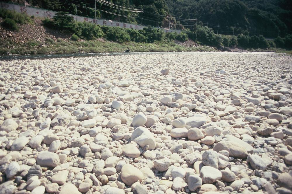강원도 인제와 미국 메인 주에서 김명희가 촬영한 돌 슬라이드 필름