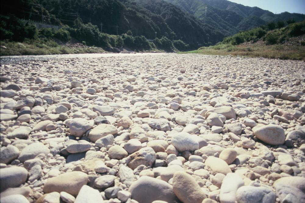 강원도 인제와 미국 메인 주에서 김명희가 촬영한 돌 슬라이드 필름