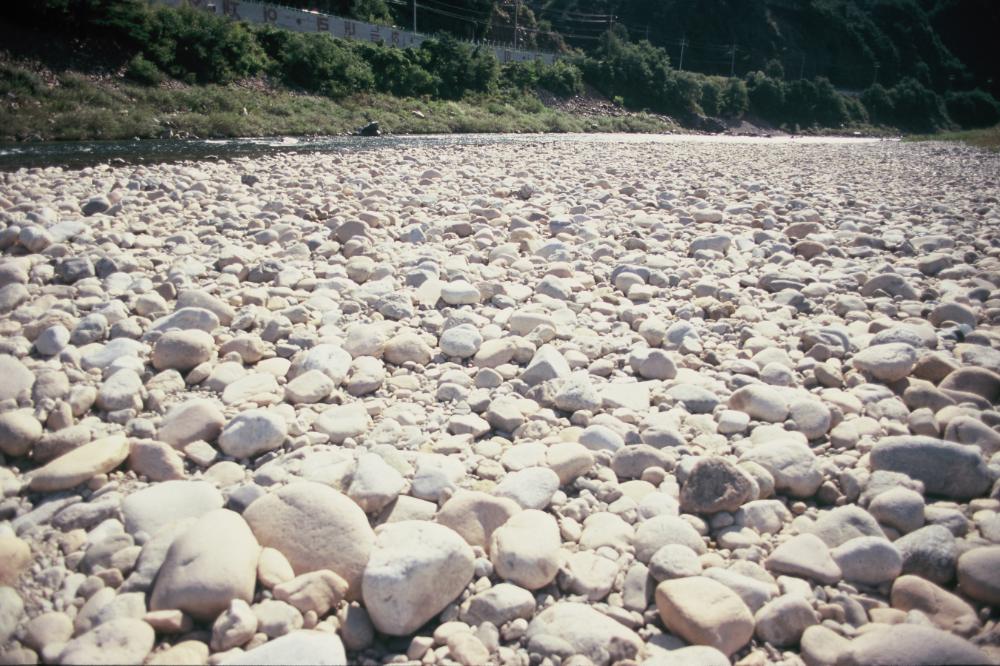 강원도 인제와 미국 메인 주에서 김명희가 촬영한 돌 슬라이드 필름