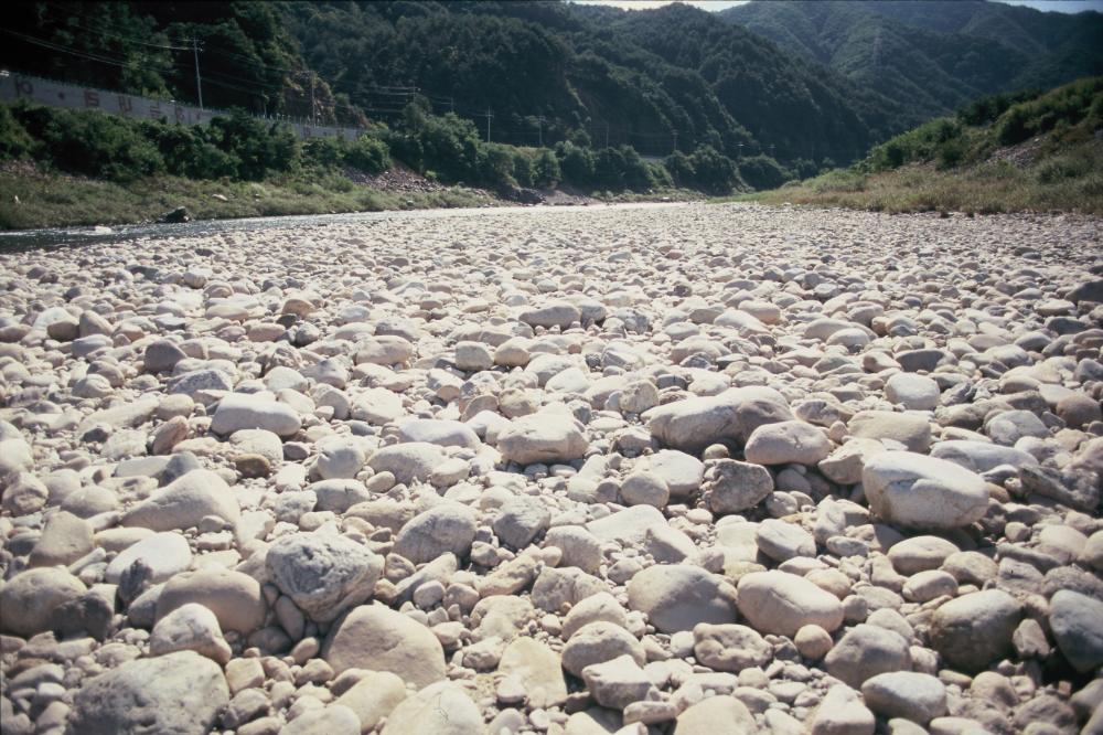 강원도 인제와 미국 메인 주에서 김명희가 촬영한 돌 슬라이드 필름