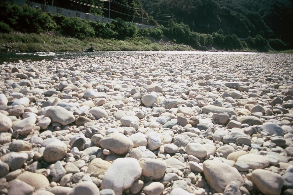 강원도 인제와 미국 메인 주에서 김명희가 촬영한 돌 슬라이드 필름
