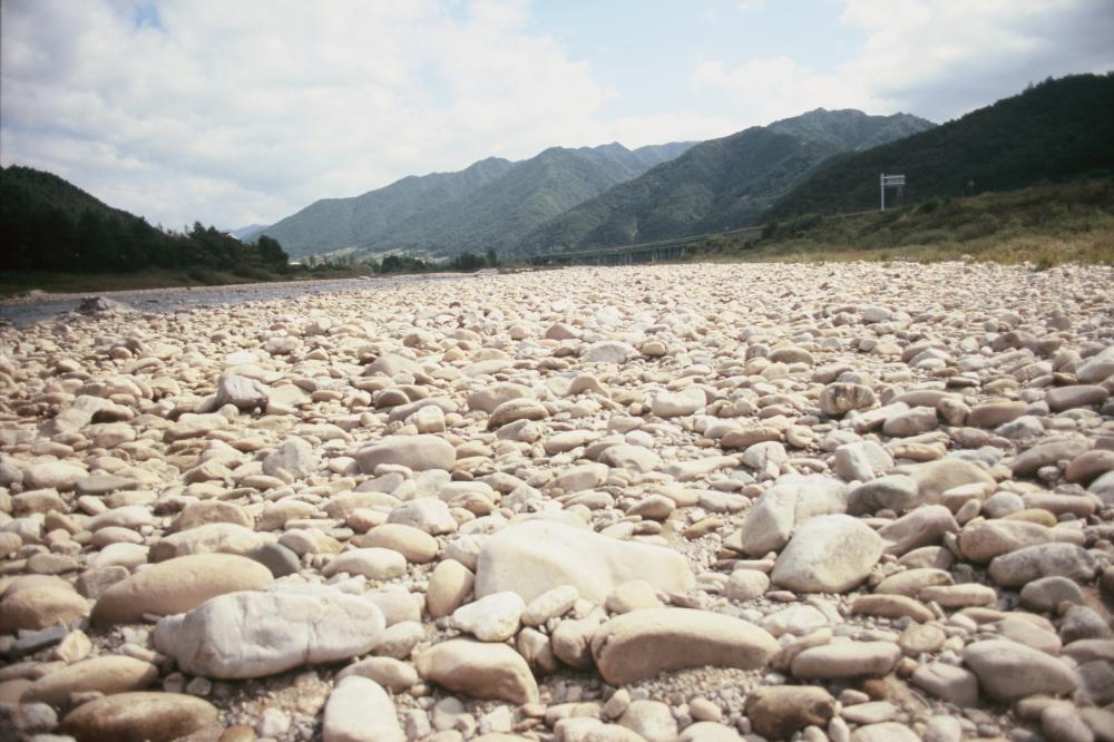 강원도 인제와 미국 메인 주에서 김명희가 촬영한 돌 슬라이드 필름
