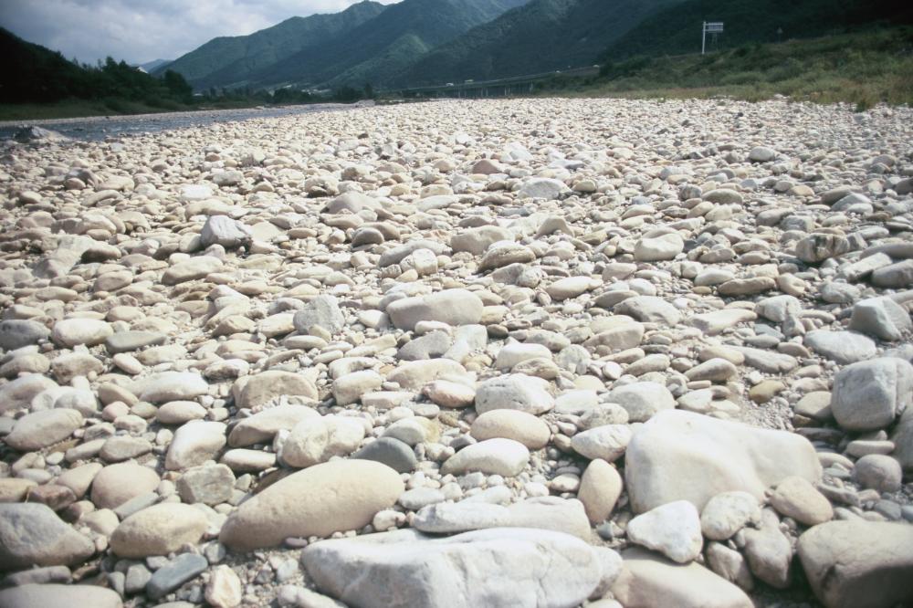 강원도 인제와 미국 메인 주에서 김명희가 촬영한 돌 슬라이드 필름