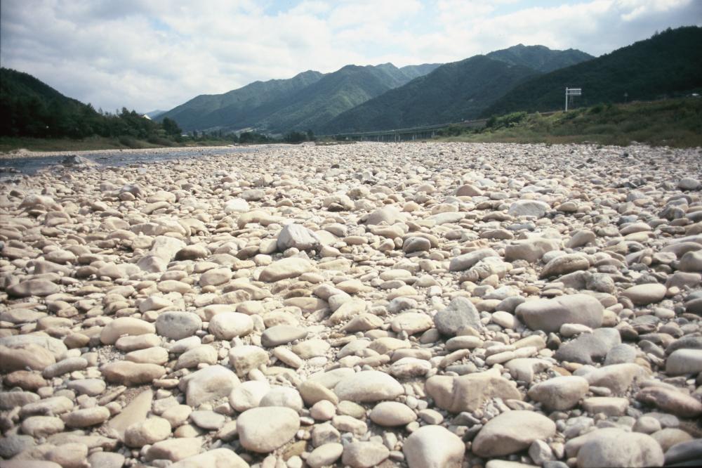 강원도 인제와 미국 메인 주에서 김명희가 촬영한 돌 슬라이드 필름