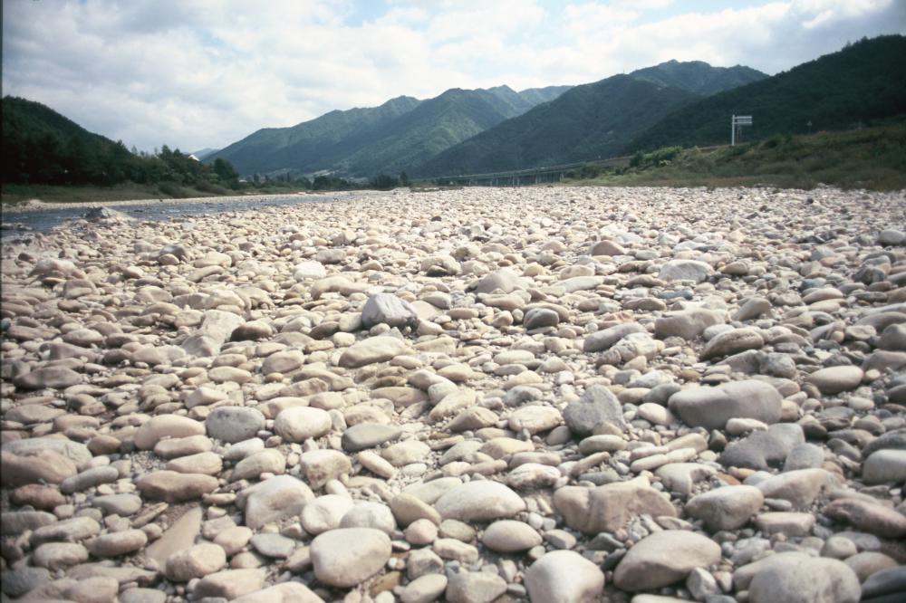 강원도 인제와 미국 메인 주에서 김명희가 촬영한 돌 슬라이드 필름