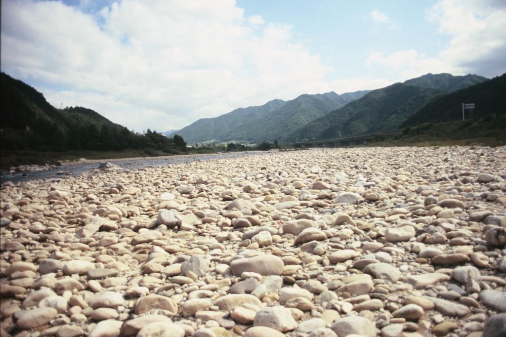 강원도 인제와 미국 메인 주에서 김명희가 촬영한 돌 슬라이드 필름