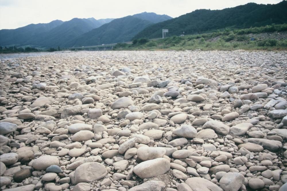 강원도 인제와 미국 메인 주에서 김명희가 촬영한 돌 슬라이드 필름