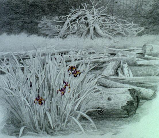 2009년에 촬영한 김명희 작품 사진파일