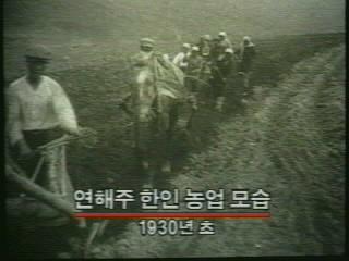 〈pict0011〉 외 다큐멘터리 스틸컷 모음 사진파일 3